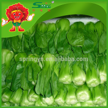 Экологически чистые китайские зеленые овощные криогенный транспортный лист Pakchoi